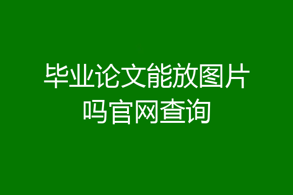 毕业论文能放图片吗官网查询