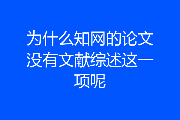 为什么知网的论文没有文献综述这一项呢