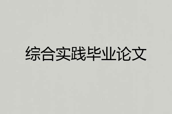 综合实践毕业论文