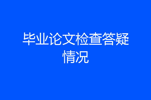 毕业论文检查答疑情况