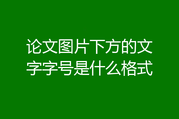 论文图片下方的文字字号是什么格式