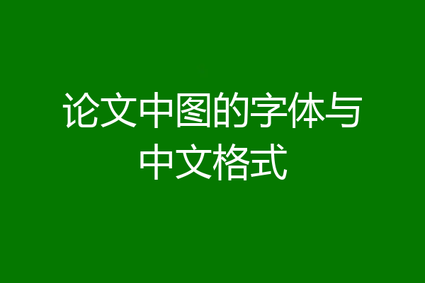 论文中图的字体与中文格式