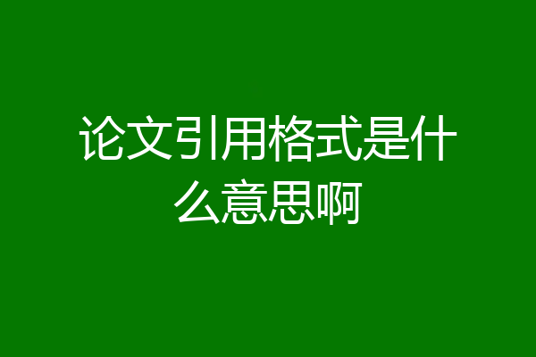 论文引用格式是什么意思啊