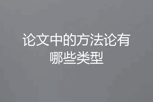 论文中的方法论有哪些类型