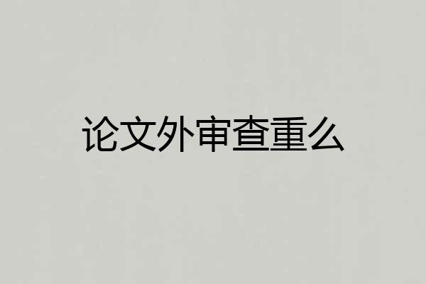 论文外审查重么