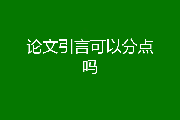 论文引言可以分点吗
