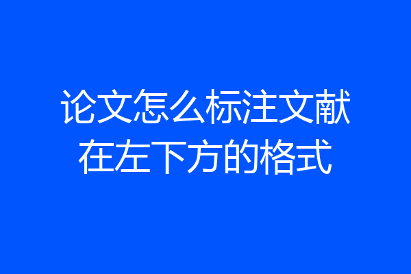 论文怎么标注文献在左下方的格式