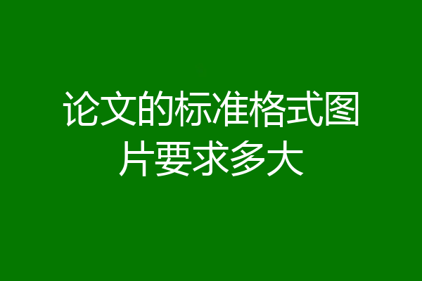 论文的标准格式图片要求多大