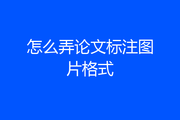 怎么弄论文标注图片格式