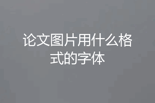 论文图片用什么格式的字体