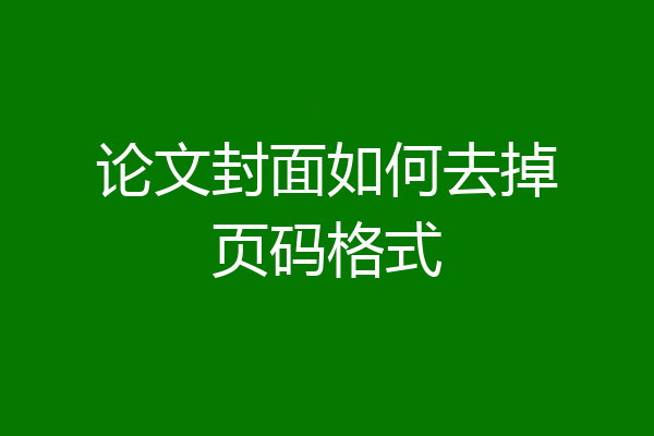 论文封面如何去掉页码格式
