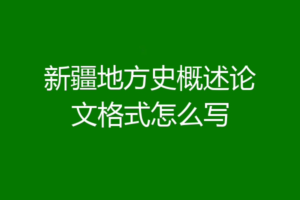 新疆地方史概述论文格式怎么写
