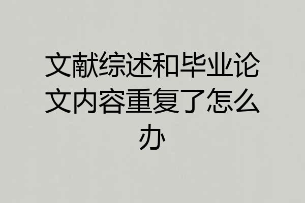 文献综述和毕业论文内容重复了怎么办
