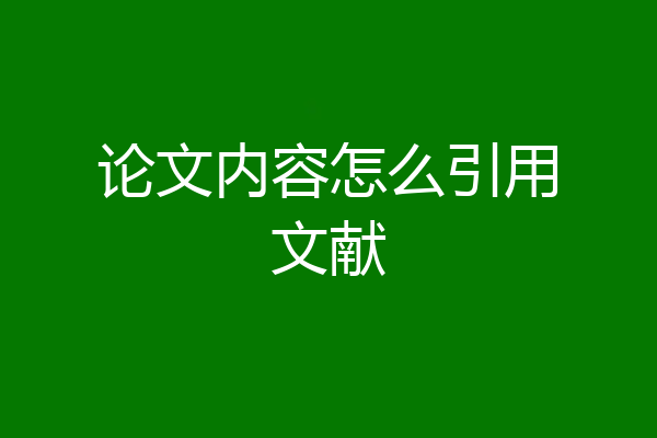 论文内容怎么引用文献