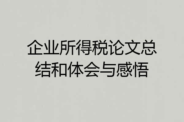 企业所得税论文总结和体会与感悟