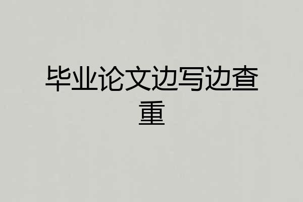 毕业论文边写边查重