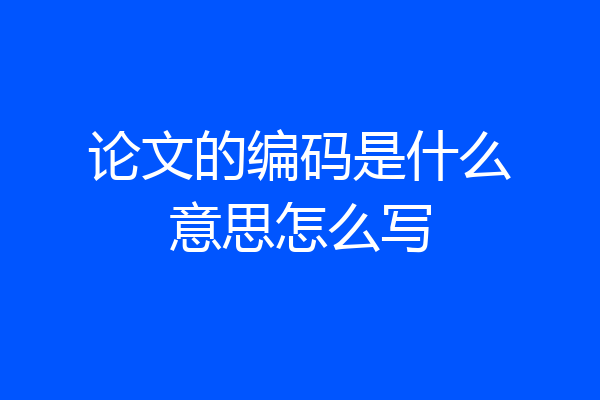 论文的编码是什么意思怎么写