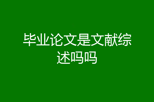 毕业论文是文献综述吗吗