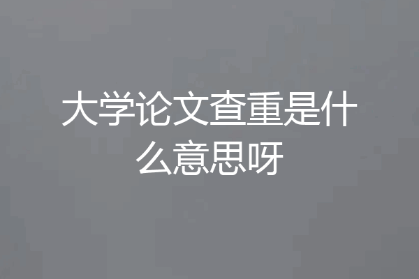 大学论文查重是什么意思呀