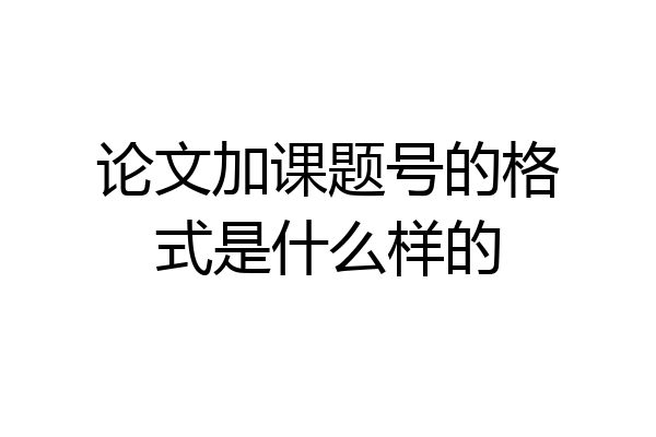 论文加课题号的格式是什么样的