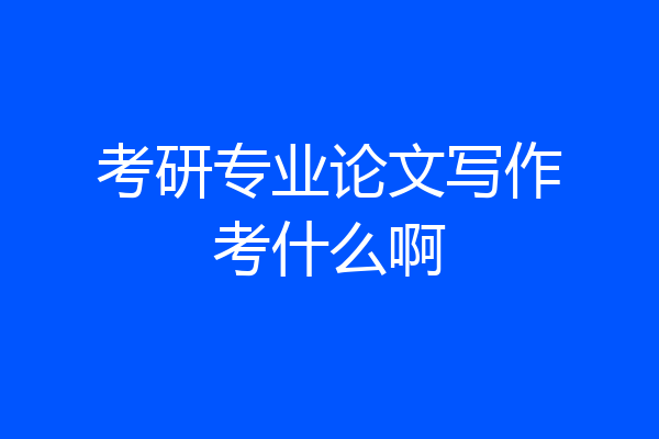 考研专业论文写作考什么啊