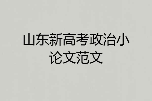 山东新高考政治小论文范文