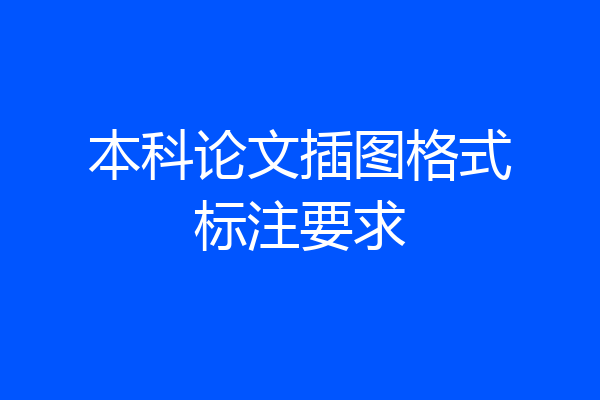 本科论文插图格式标注要求
