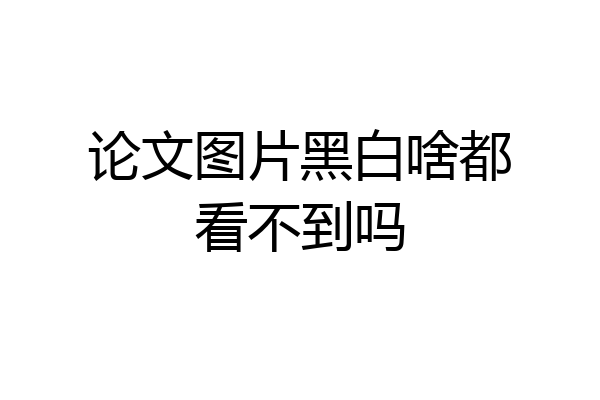 论文图片黑白啥都看不到吗