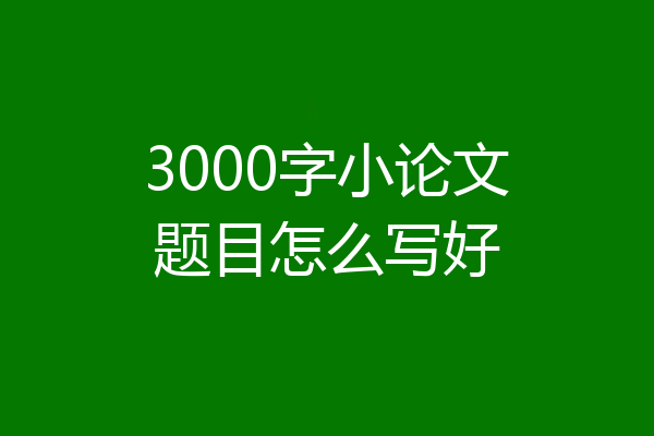 3000字小论文题目怎么写好