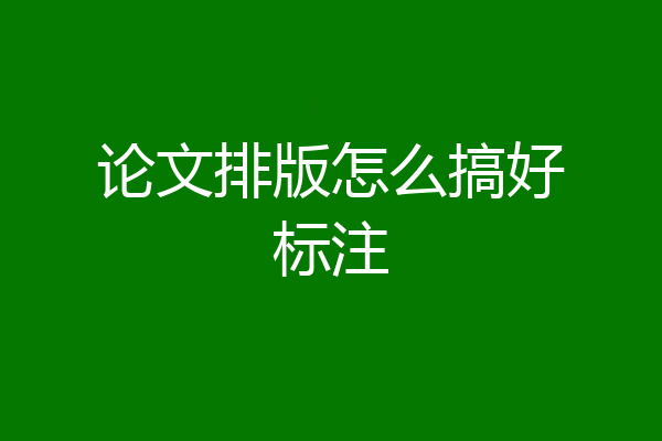 论文排版怎么搞好标注