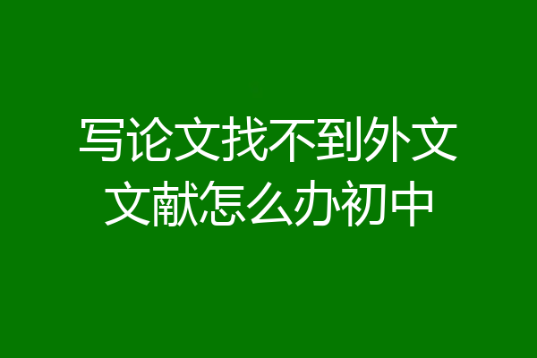 写论文找不到外文文献怎么办初中