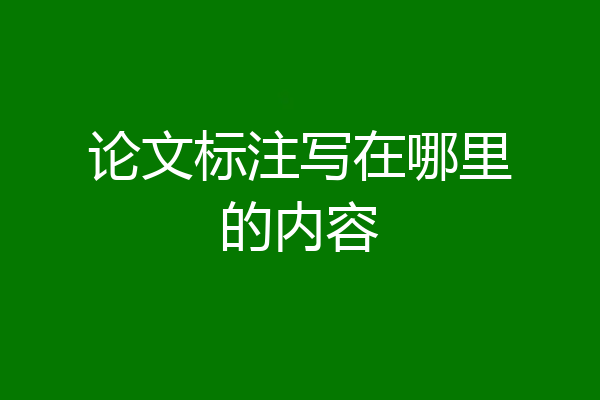 论文标注写在哪里的内容