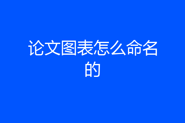 论文图表怎么命名的