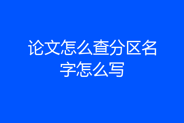 论文怎么查分区名字怎么写