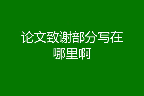 论文致谢部分写在哪里啊