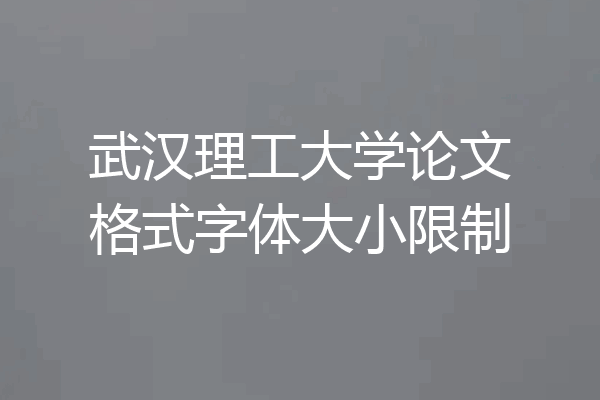 武汉理工大学论文格式字体大小限制