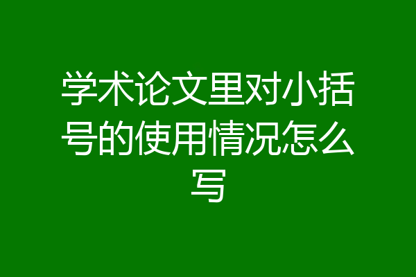 学术论文里对小括号的使用情况怎么写