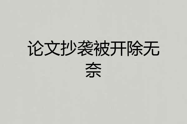 论文抄袭被开除无奈