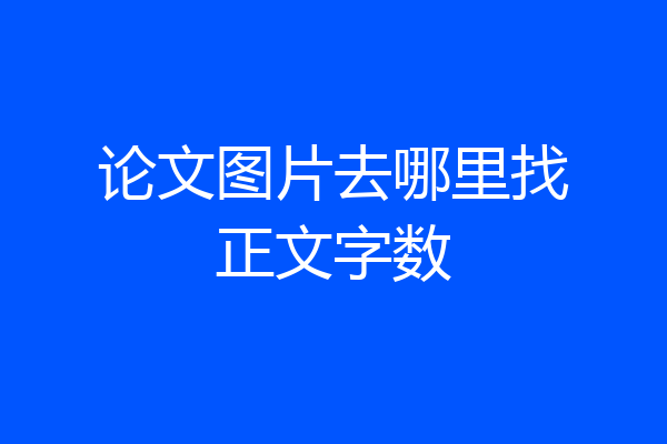 论文图片去哪里找正文字数