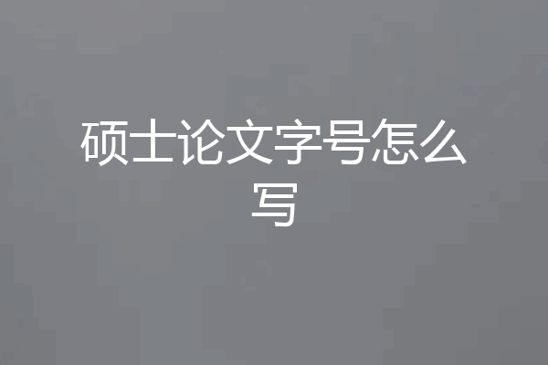 硕士论文字号怎么写