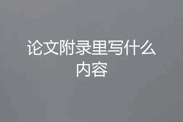 论文附录里写什么内容