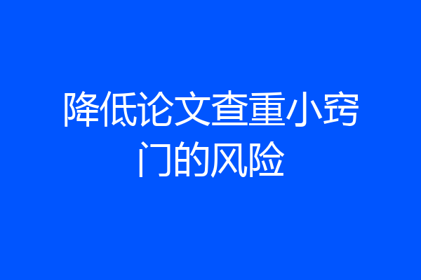 降低论文查重小窍门的风险