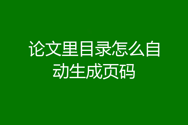 论文里目录怎么自动生成页码