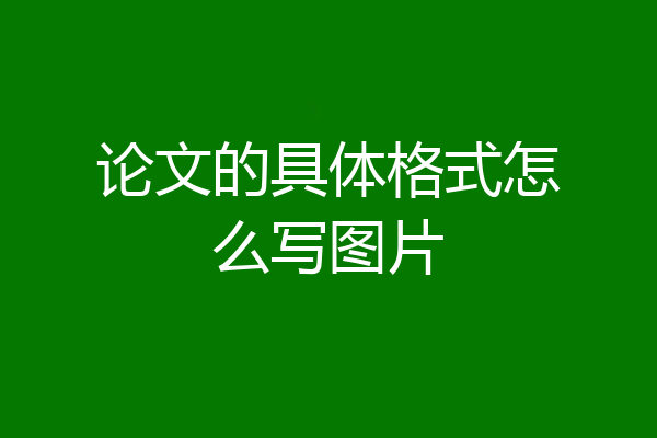 论文的具体格式怎么写图片