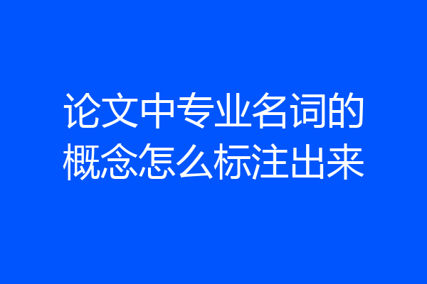 论文中专业名词的概念怎么标注出来
