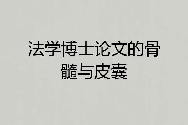 法学博士论文的骨髓与皮囊