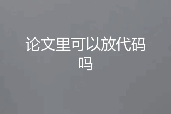 论文里可以放代码吗