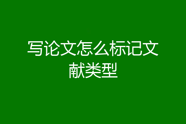 写论文怎么标记文献类型