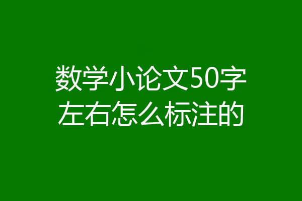 数学小论文50字左右怎么标注的
