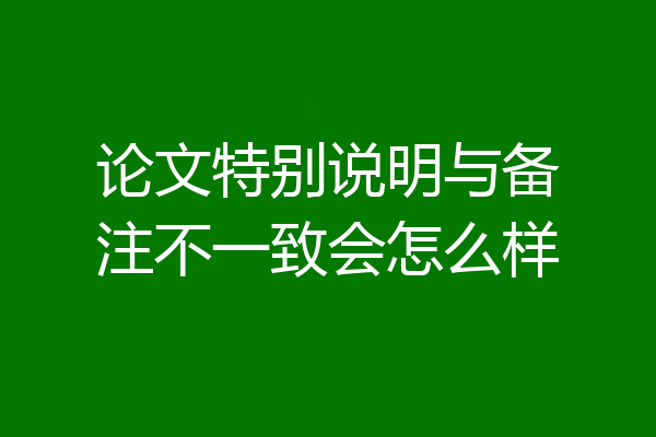 论文特别说明与备注不一致会怎么样